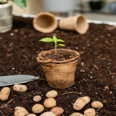 top-view-gardening-tools-flower-pot (1)