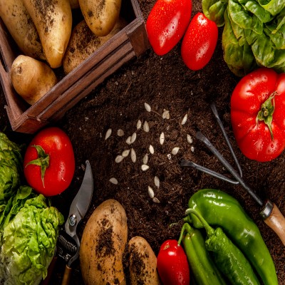 top-view-veggies-with-seeds-salad (1)